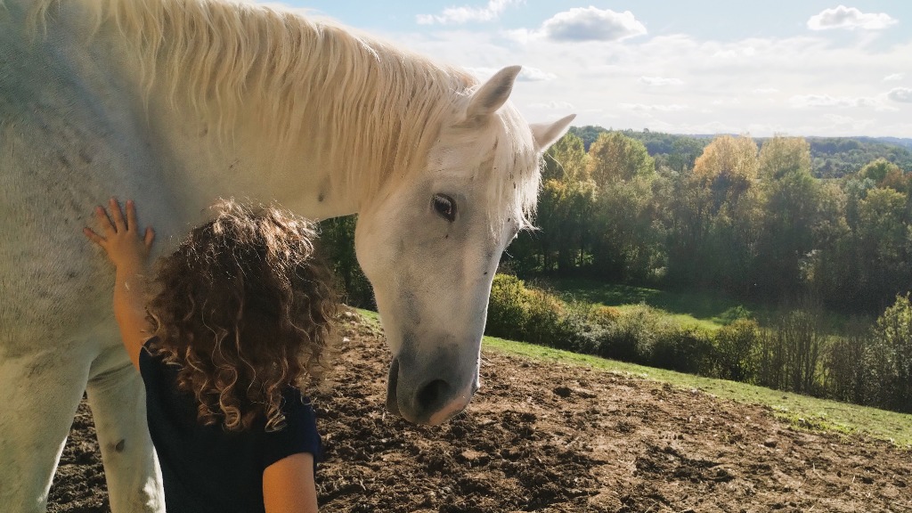 photo activite Association En Mouvement 81