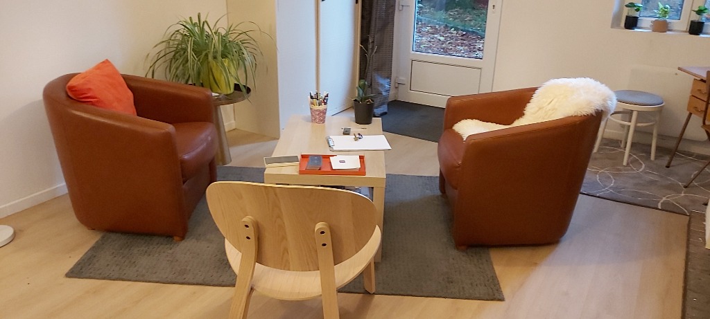 photo cabinet Veronique FERRE