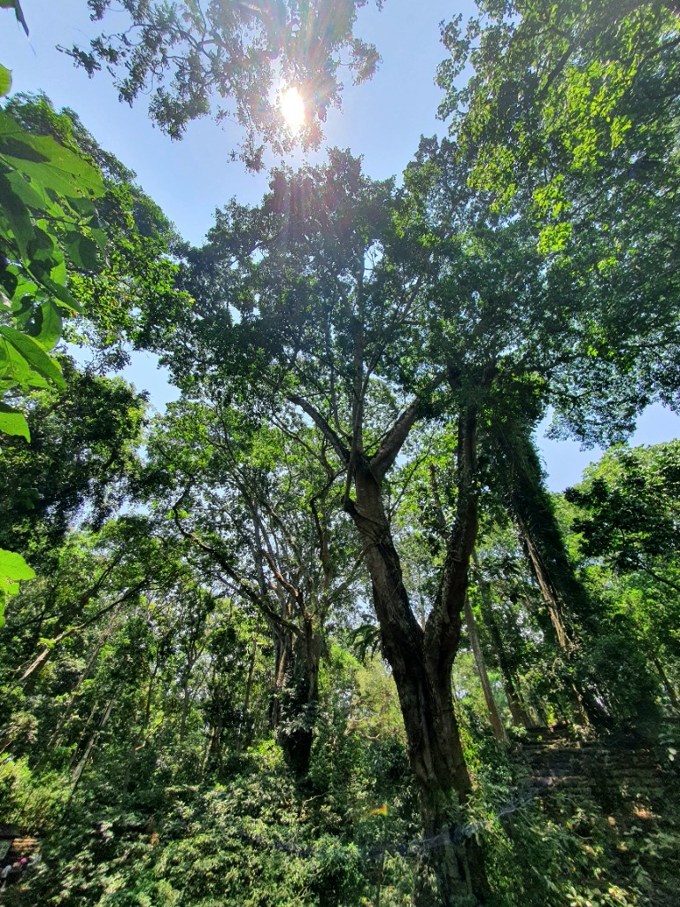 photo cabinet Sérénité - Elsa