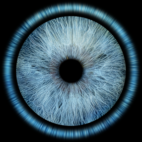 Guérizen magnétisme 