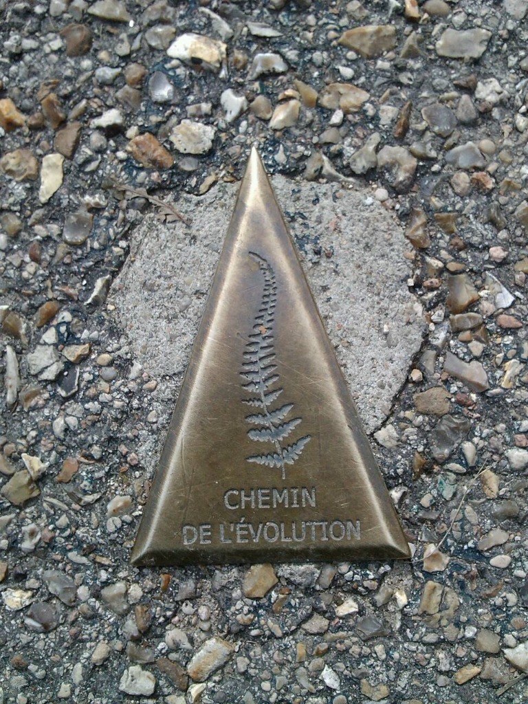 photo cabinet Corinne ANCEL