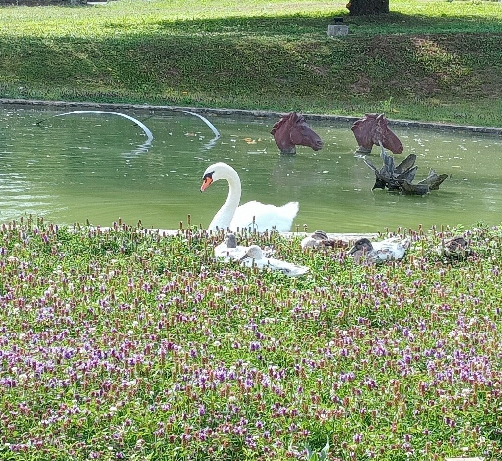 photo seance Corinne ANCEL