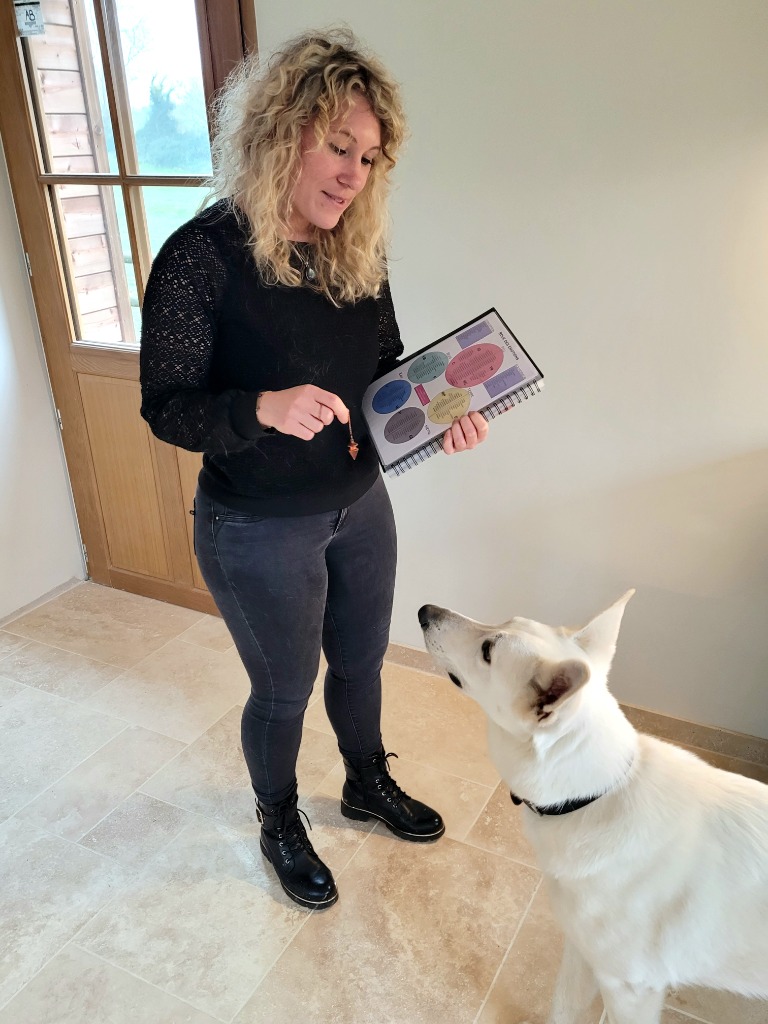 photo seance Winsy JAMAIN - ELYSIUM ENERGIE