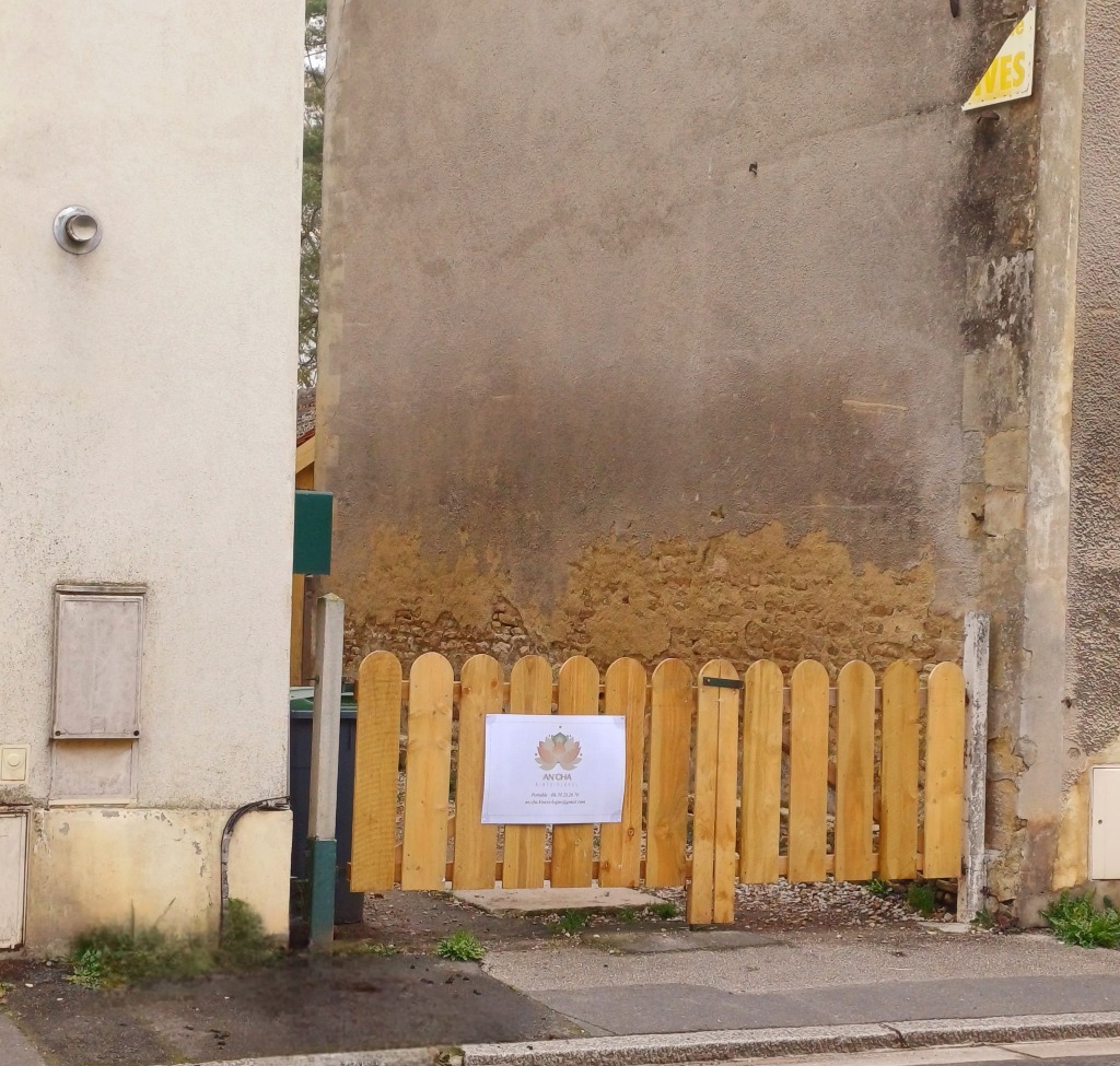 photo activite An’Cha Kinésiologue Certifiée