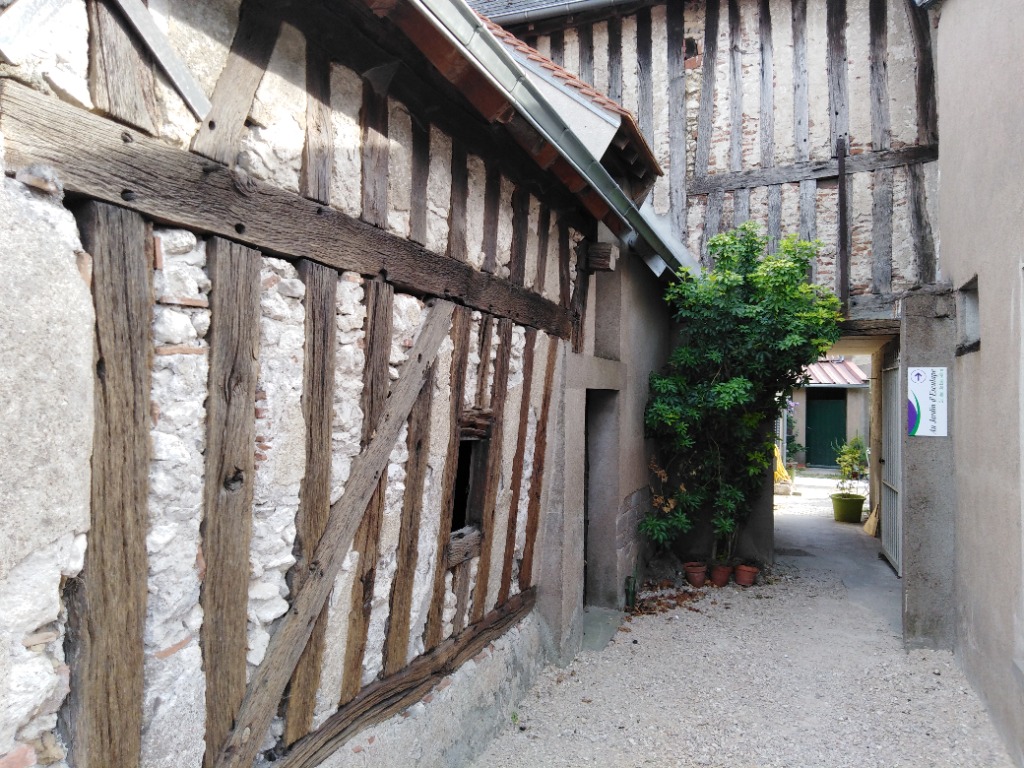 photo portrait AU JARDIN D’ESCULAPE