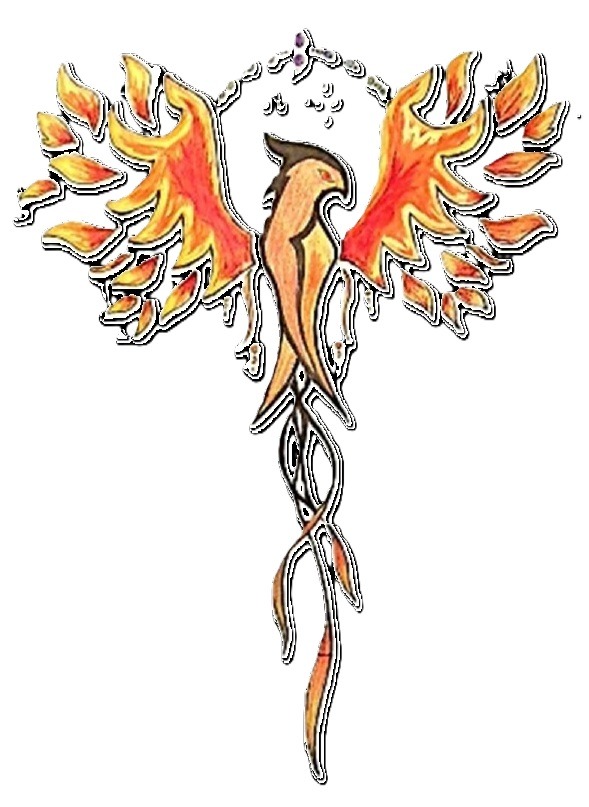 photo activite Phoenix Vibes