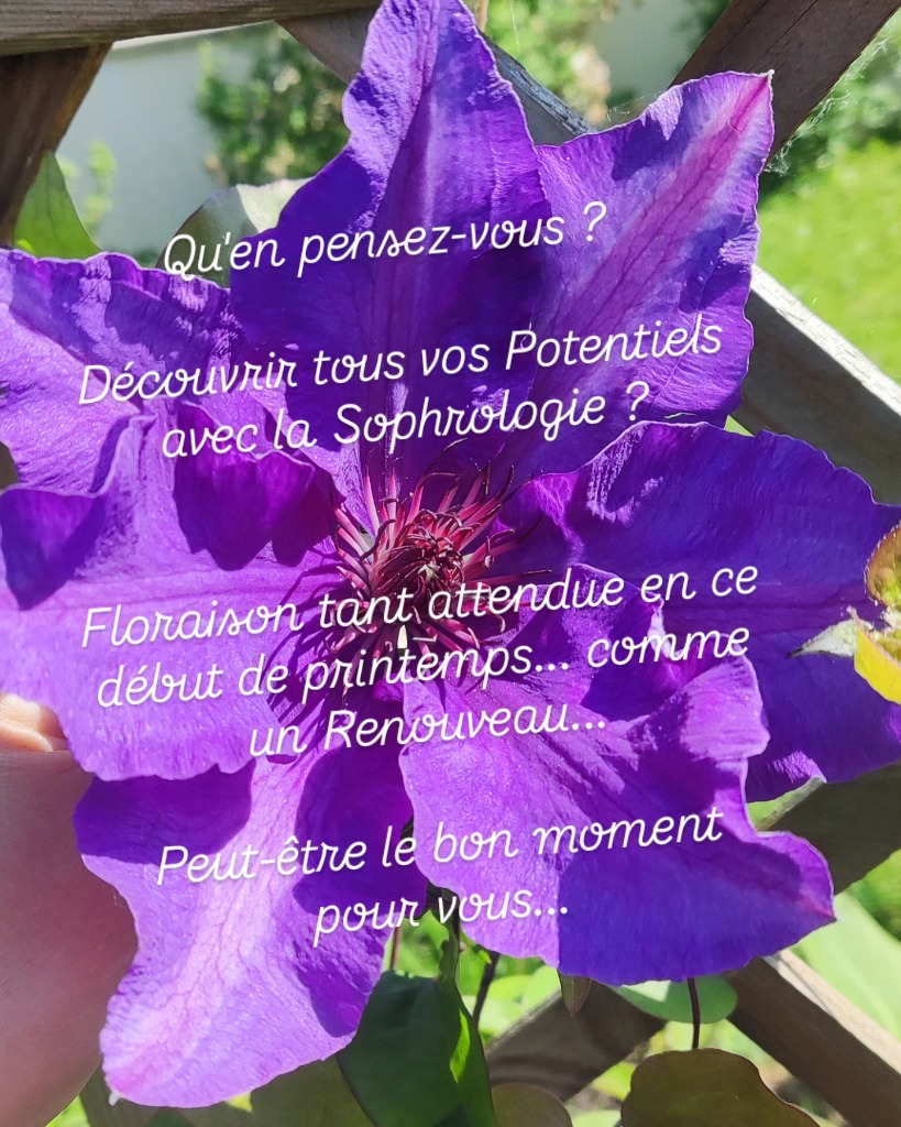 photo cabinet Laetitia HOEFFLINGER