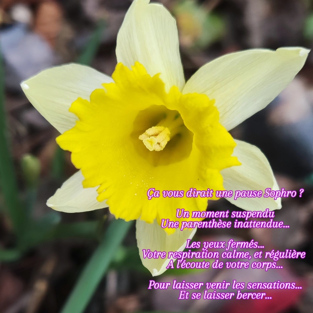 photo seance Laetitia HOEFFLINGER