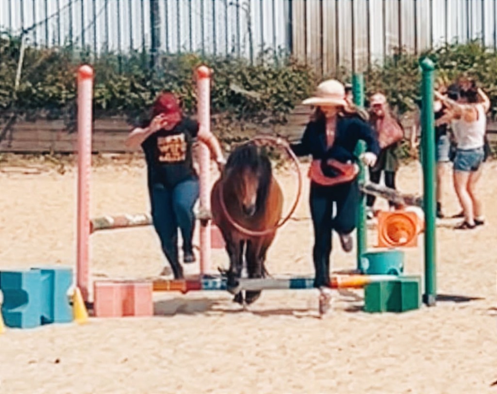 photo activite BRIAND Marion - EQUIMAGINE 74 EQUITHERAPIE