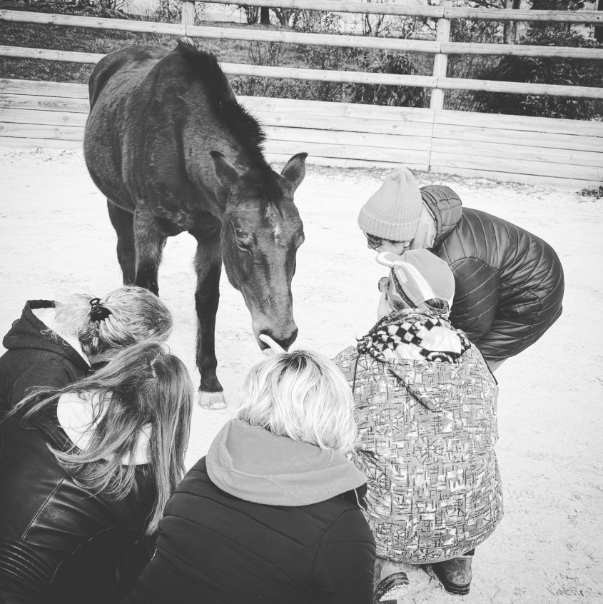 photo seance BRIAND Marion - EQUIMAGINE 74 EQUITHERAPIE