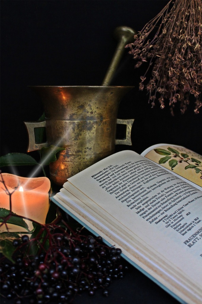 photo activite Aurelia Maubian