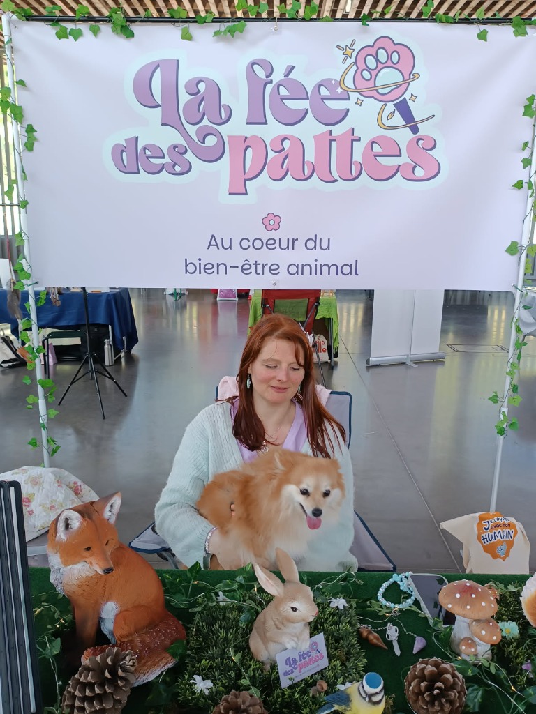 photo activite La fée des pattes