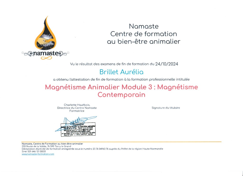 photo diplome La fée des pattes