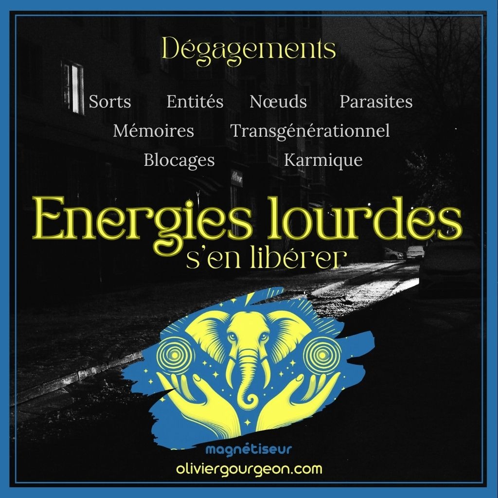 photo activite Olivier GOURGEON