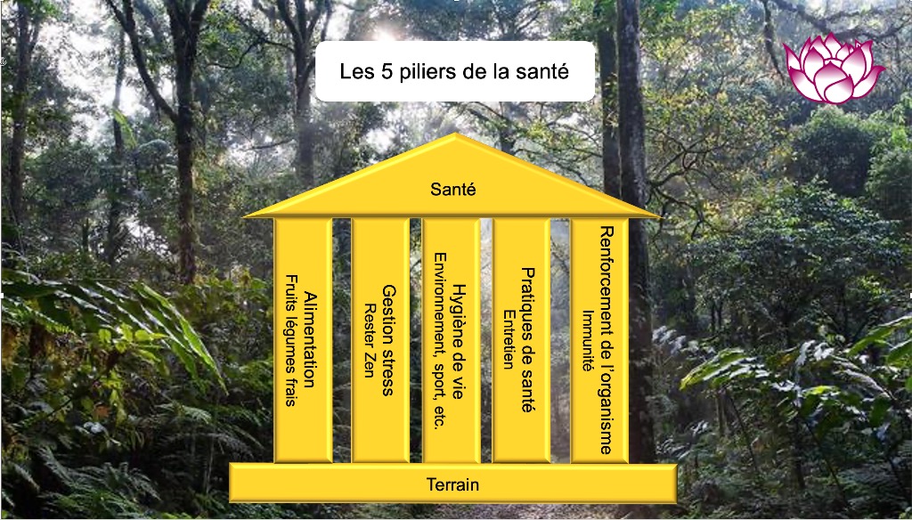 photo seance Sophie Cohen