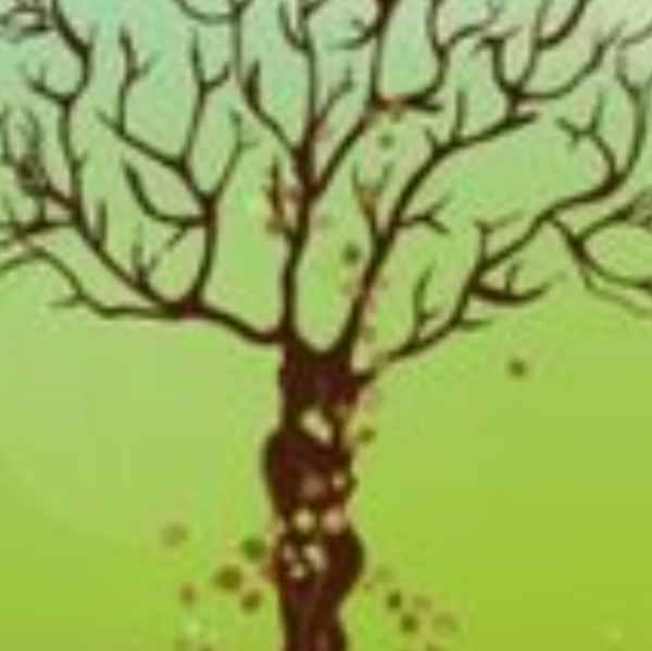 Magnéti’Vie Holistique