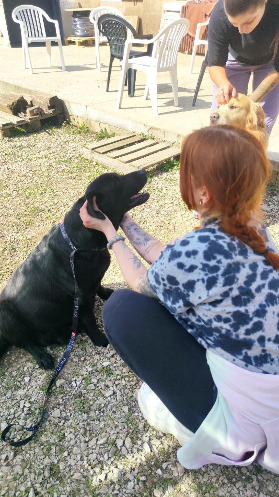 photo activite Cynthia Douet