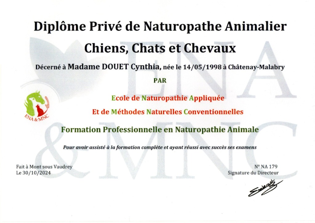 photo diplome Cynthia Douet