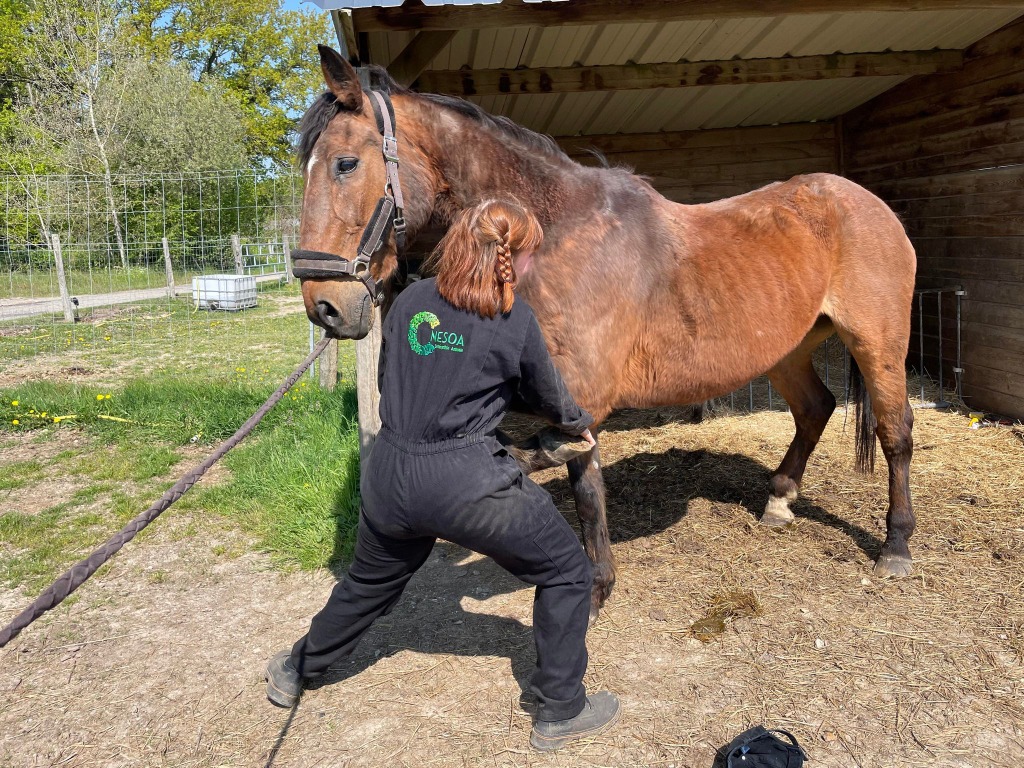 photo portrait Cynthia Douet