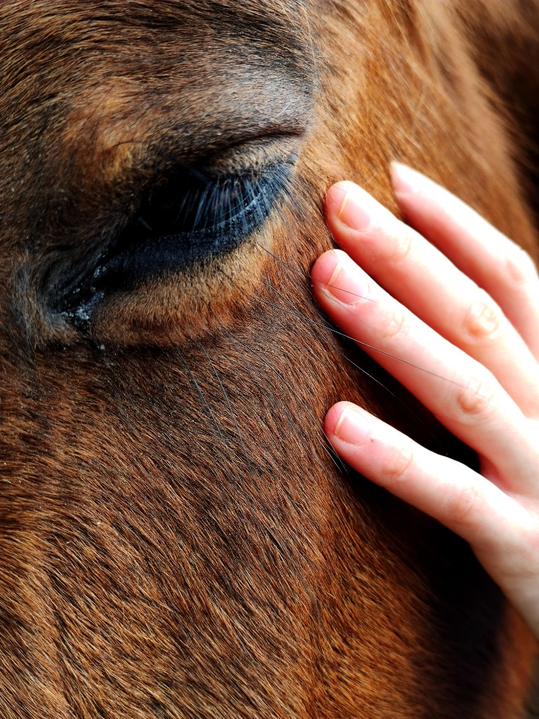 photo seance Cynthia Douet