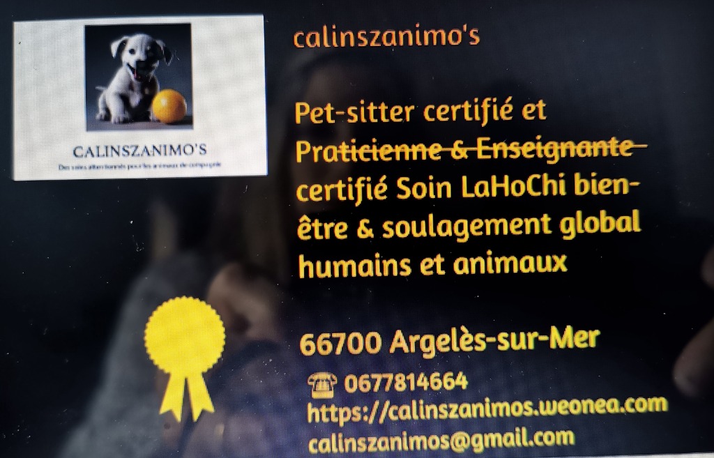 photo cabinet Calinszanimo’s