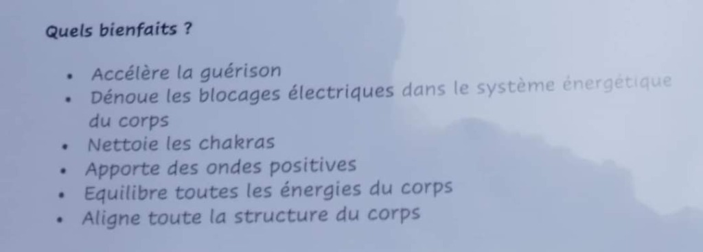 photo diplome Calinszanimo’s