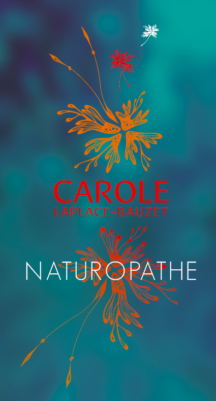 photo activite Carole Laplace Bauzet