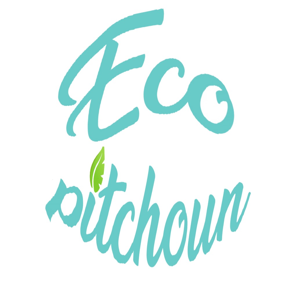 photo diplome Ecopitchoun