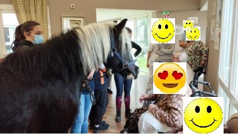 photo activite Le jardin des licornes