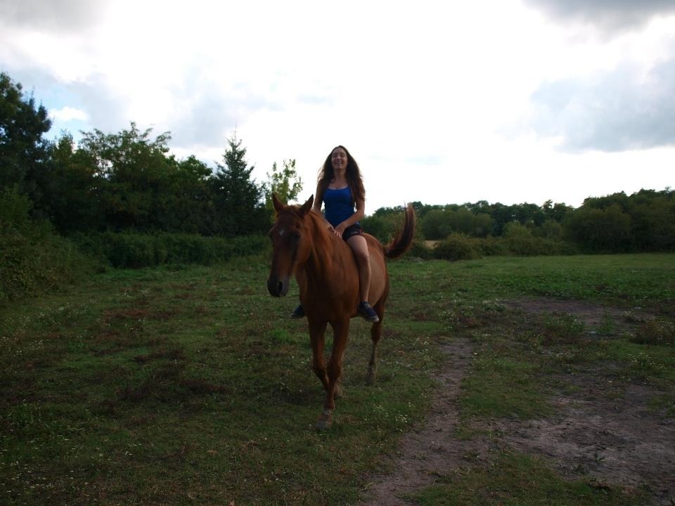 photo portrait Le jardin des licornes