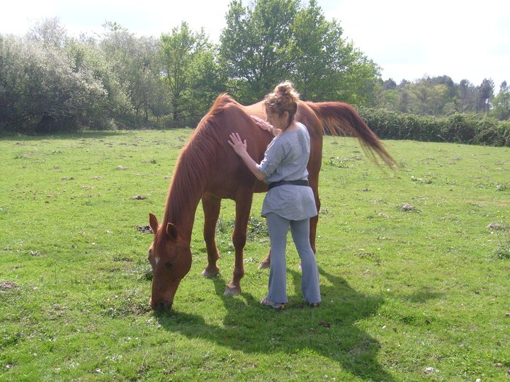 photo seance Le jardin des licornes