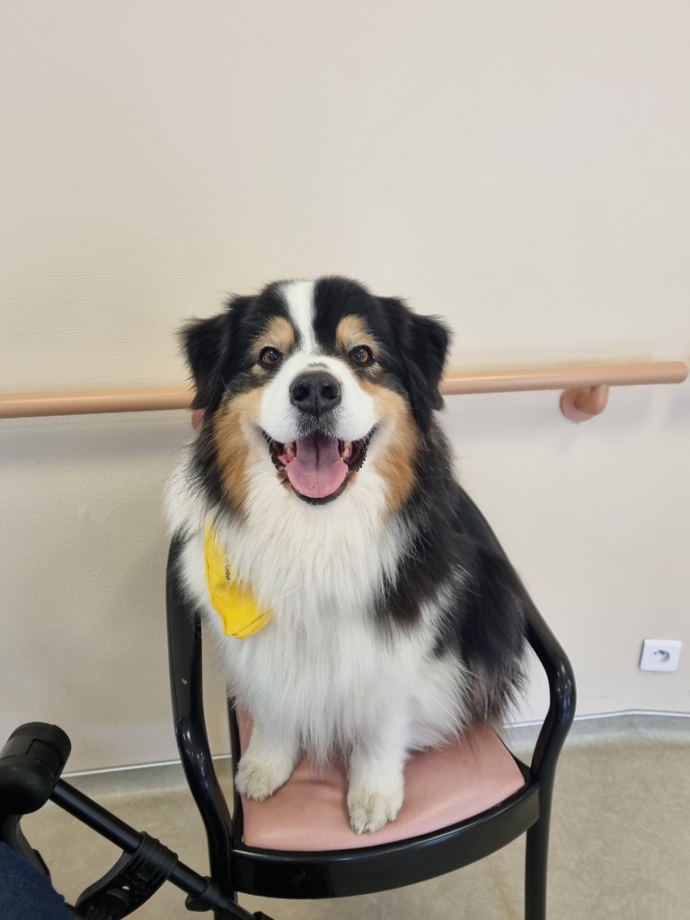 photo seance BOUVIER MYRIAM