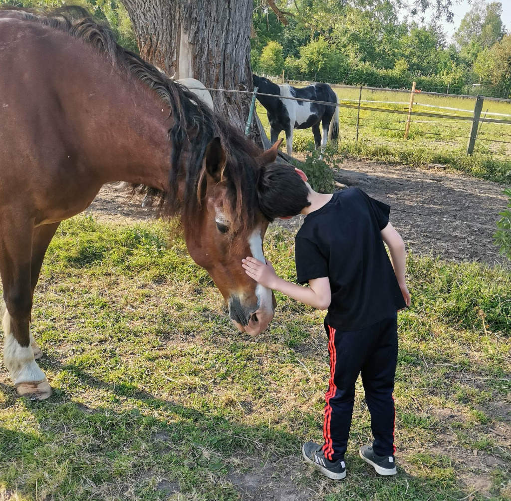 photo activite Association Epona-Liance