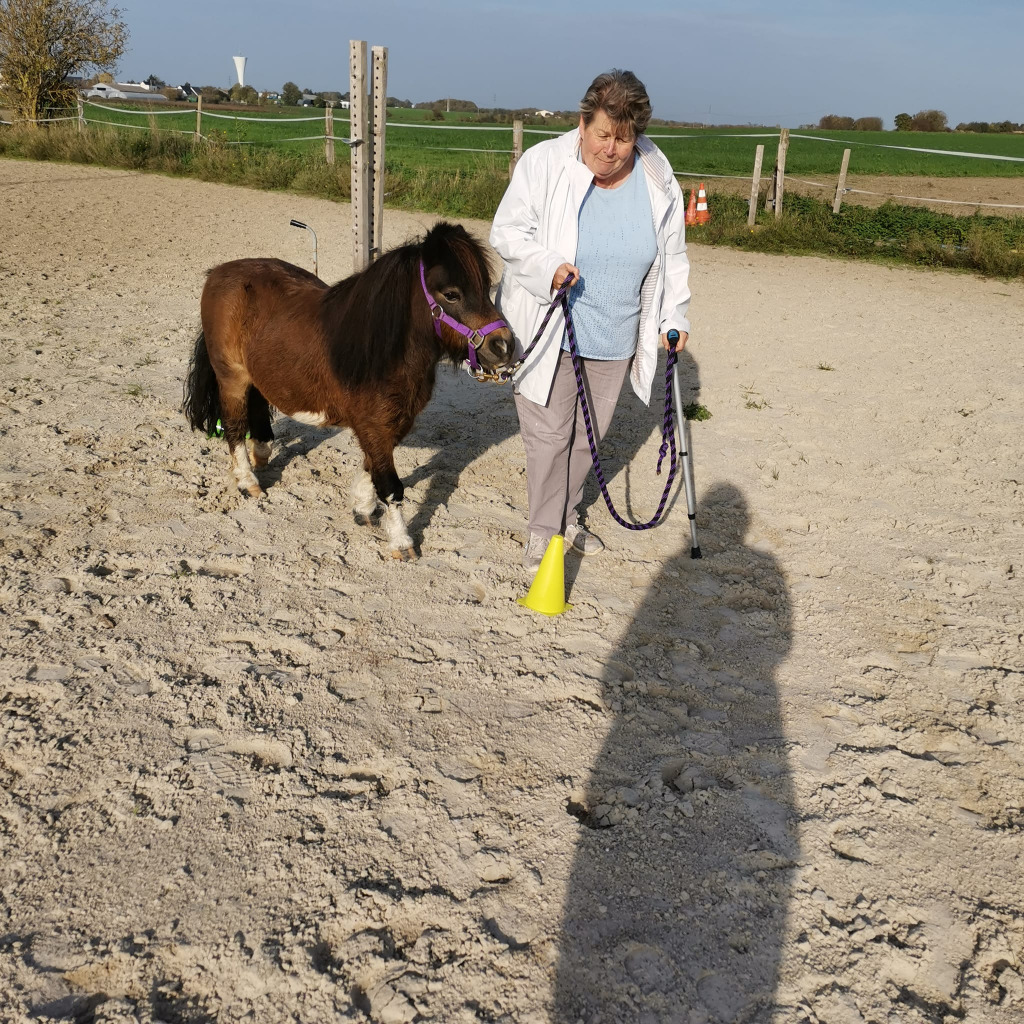 photo cabinet Association Epona-Liance