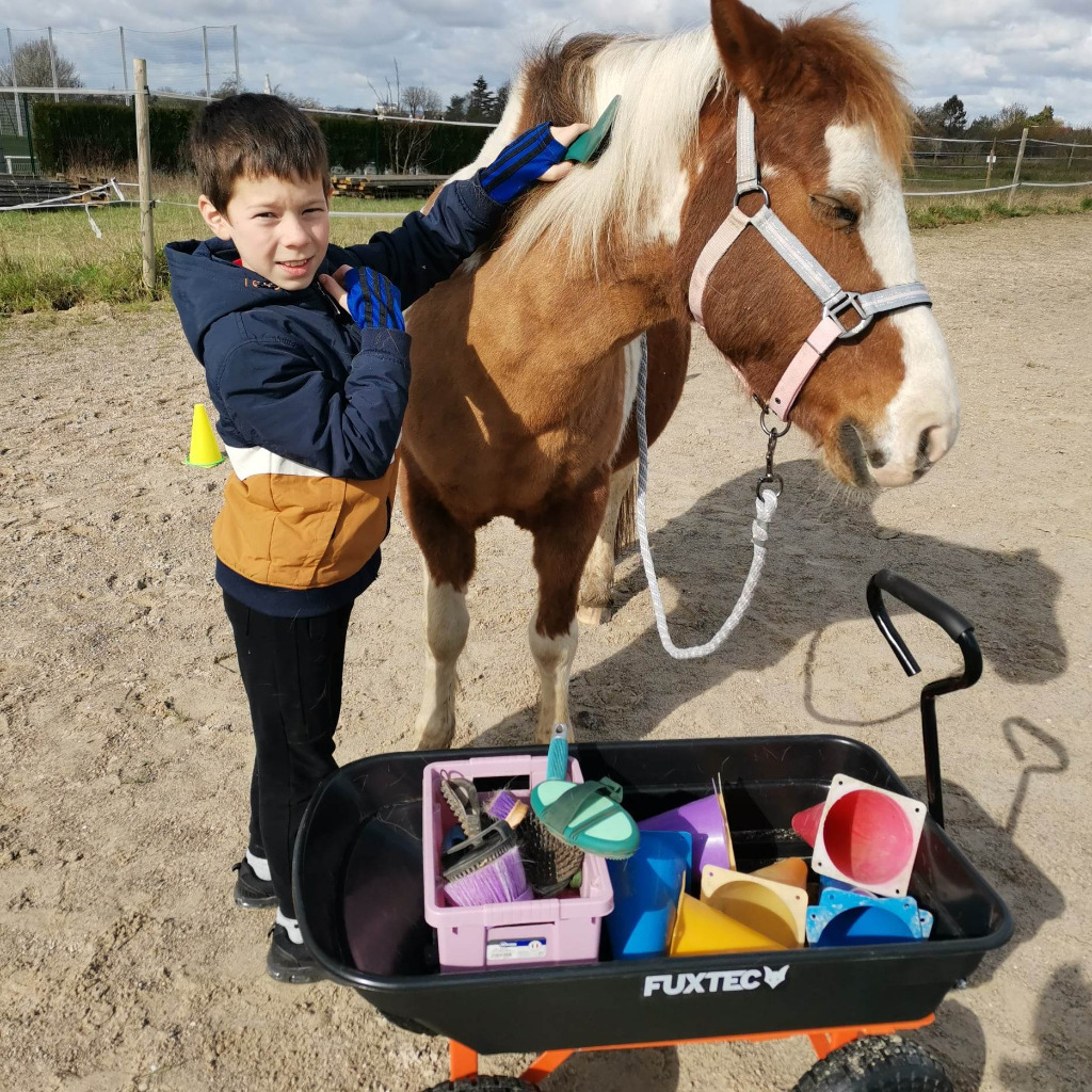 photo seance Association Epona-Liance