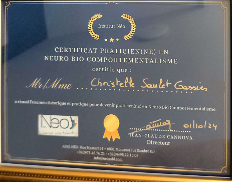 photo diplome Christelle SAULET GASSIES