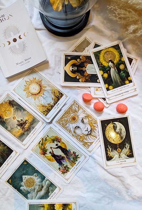 photo seance Freya Tagada
