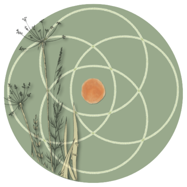 Nos Chemins d’Equilibre