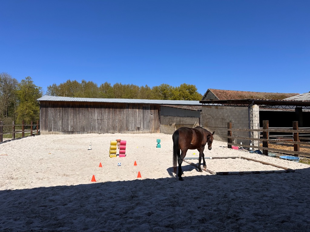 photo seance Daria Chokomert