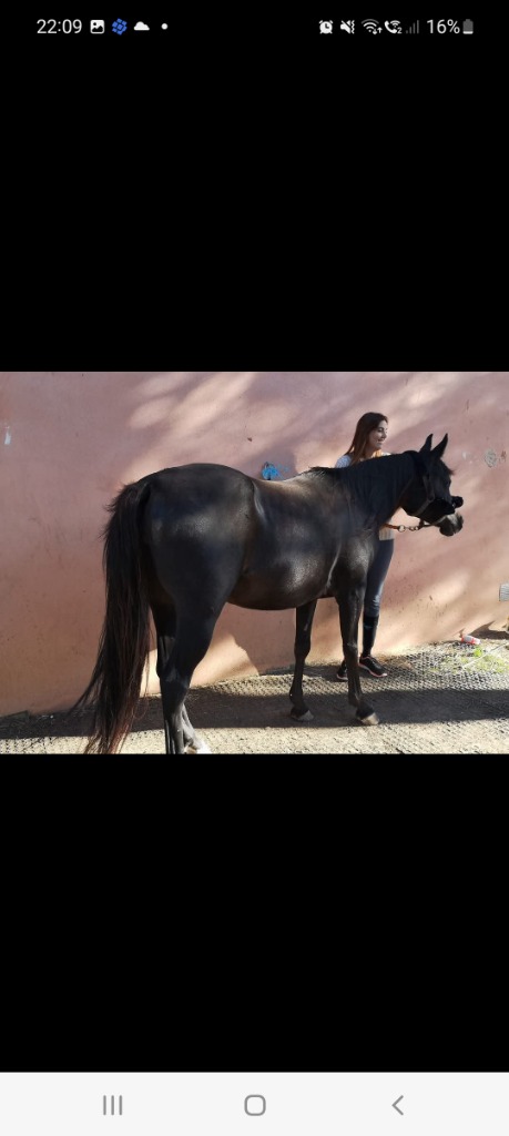 photo seance Christelle TRITON