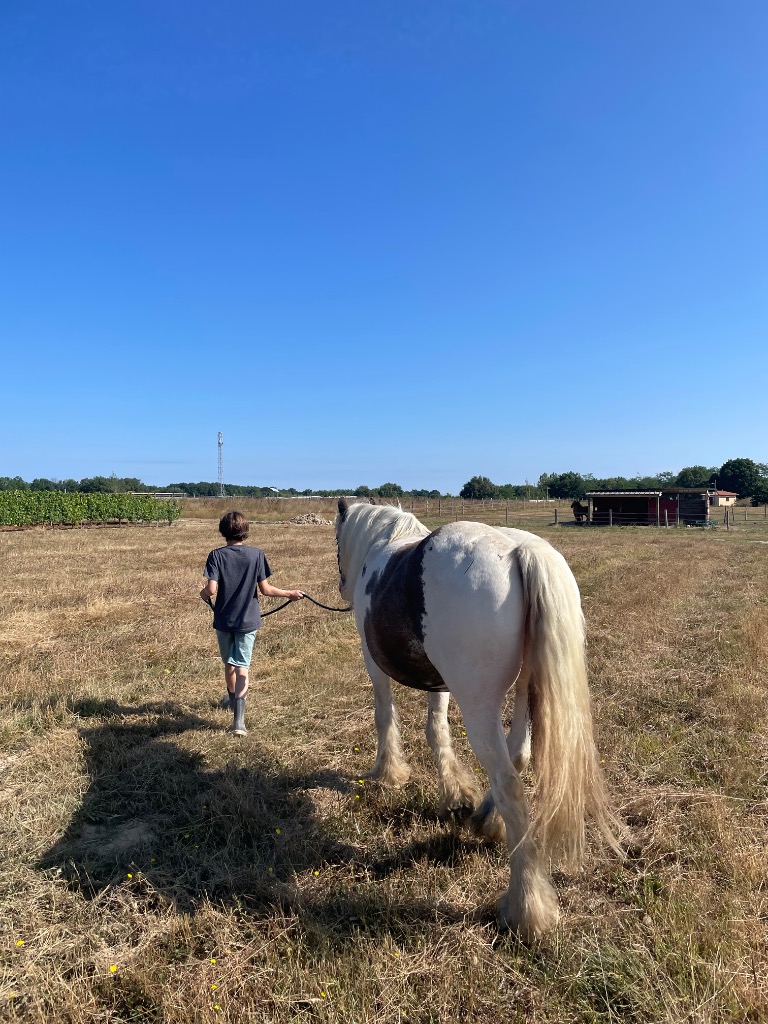 photo seance Ecolympe