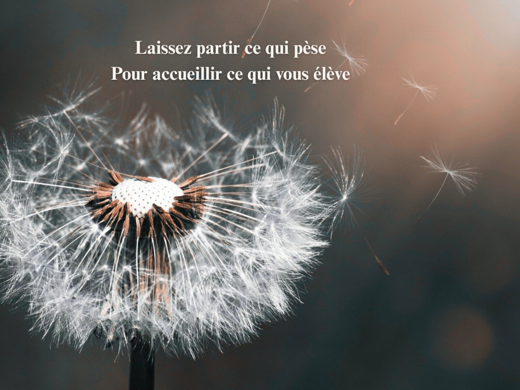 photo activite Cécile Hubert