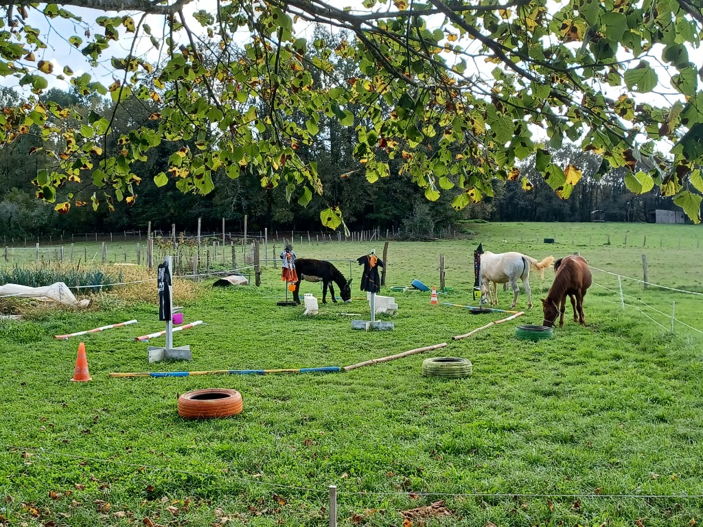 photo portrait Nathalie Martinello