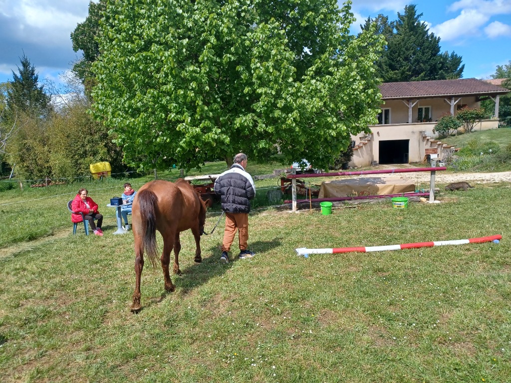 photo seance Nathalie Martinello
