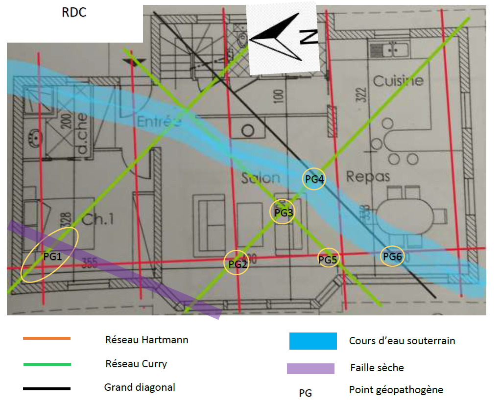 photo activite Etienne de Foresta