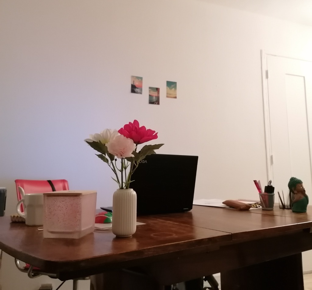 photo seance Clémentine LE BAIL