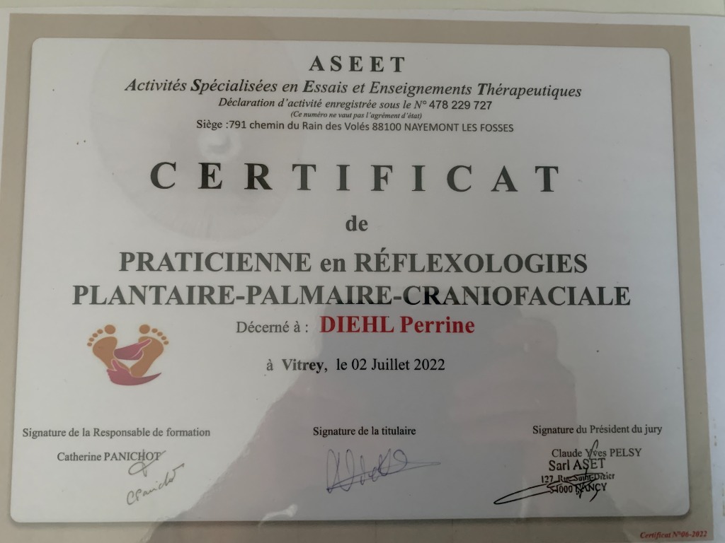 photo diplome Le cocon de Pépite