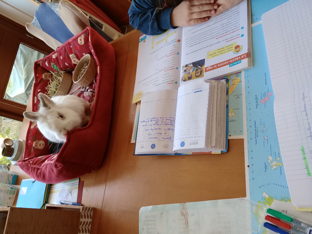 photo seance CAROLE TRIMBOUR