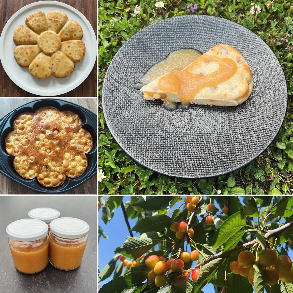 photo activite Sandrine MOYNE Vocation Nutrisanté