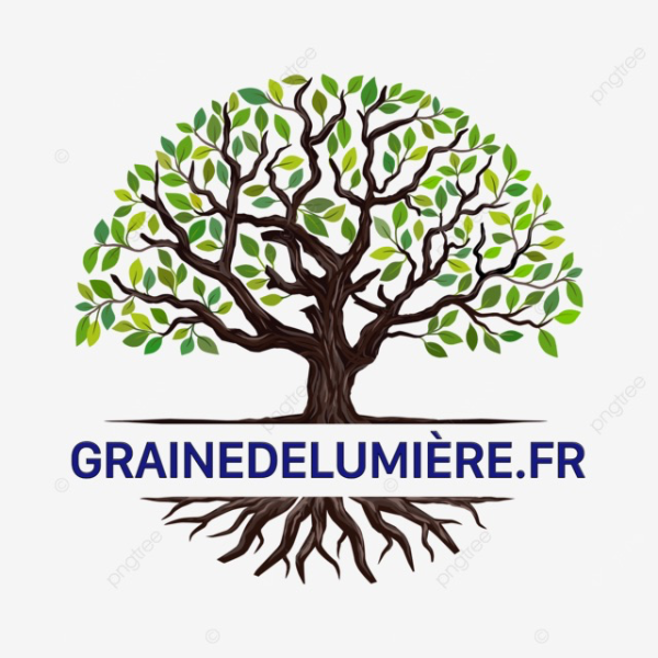 Grainedelumiere